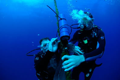 SCUBA divers deploy an underwater receiver